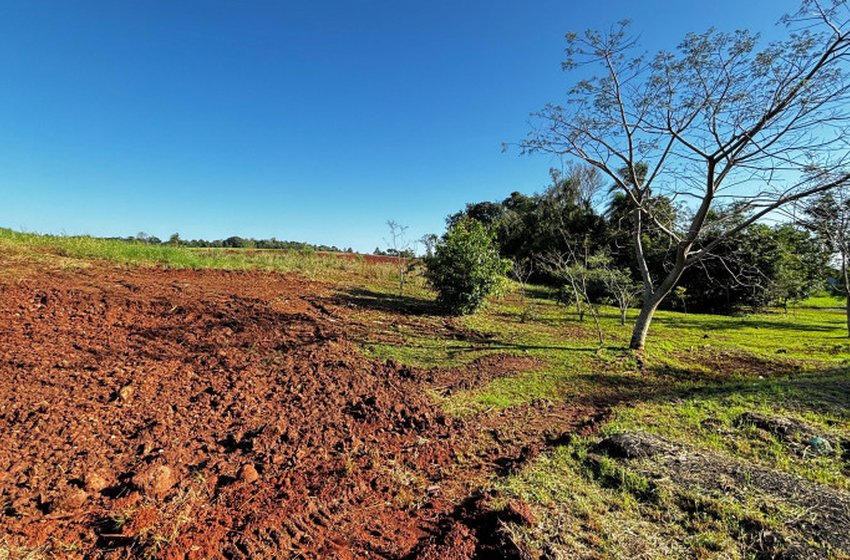 Sete municípios iniciaram a preparação dos terrenos para receber casas definitivas