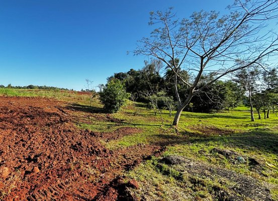 Sete municípios iniciaram a preparação dos terrenos para receber casas definitivas